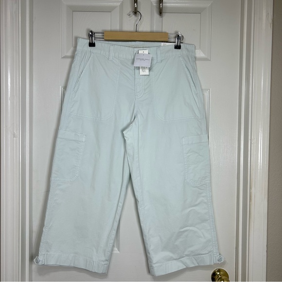 AE Cotton Blend Stretch Light Blue Low-Rise Straight Crop Pant 8 / 29R - Picture 2 of 16